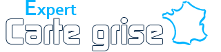 Demande de carte grise en Ligne en 24 H